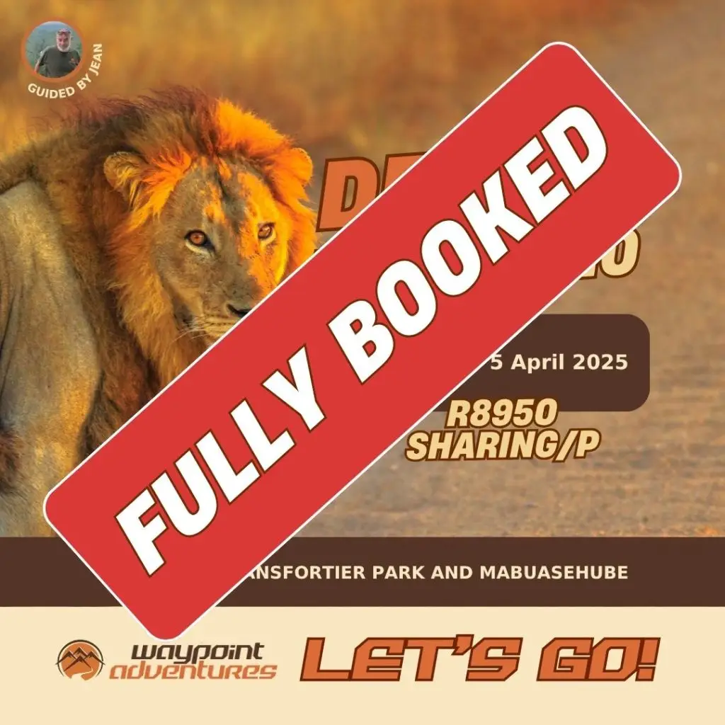 DD10 Fully Booked