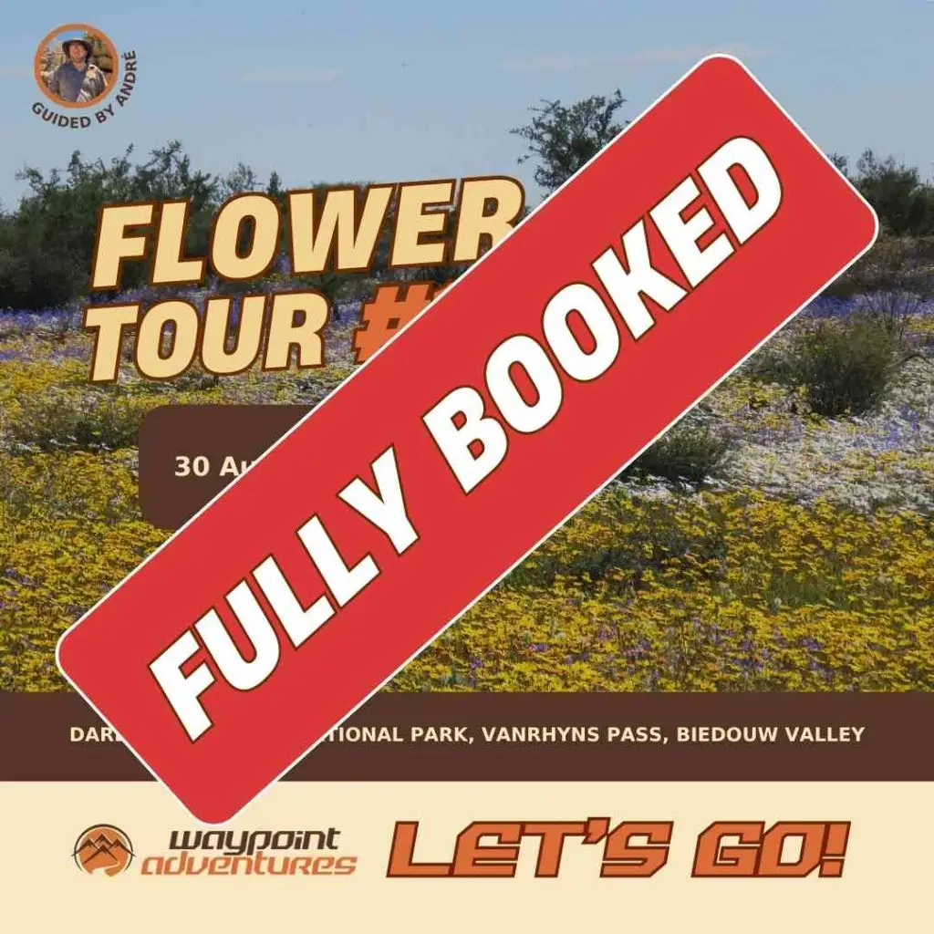 FL10 Fully Booked