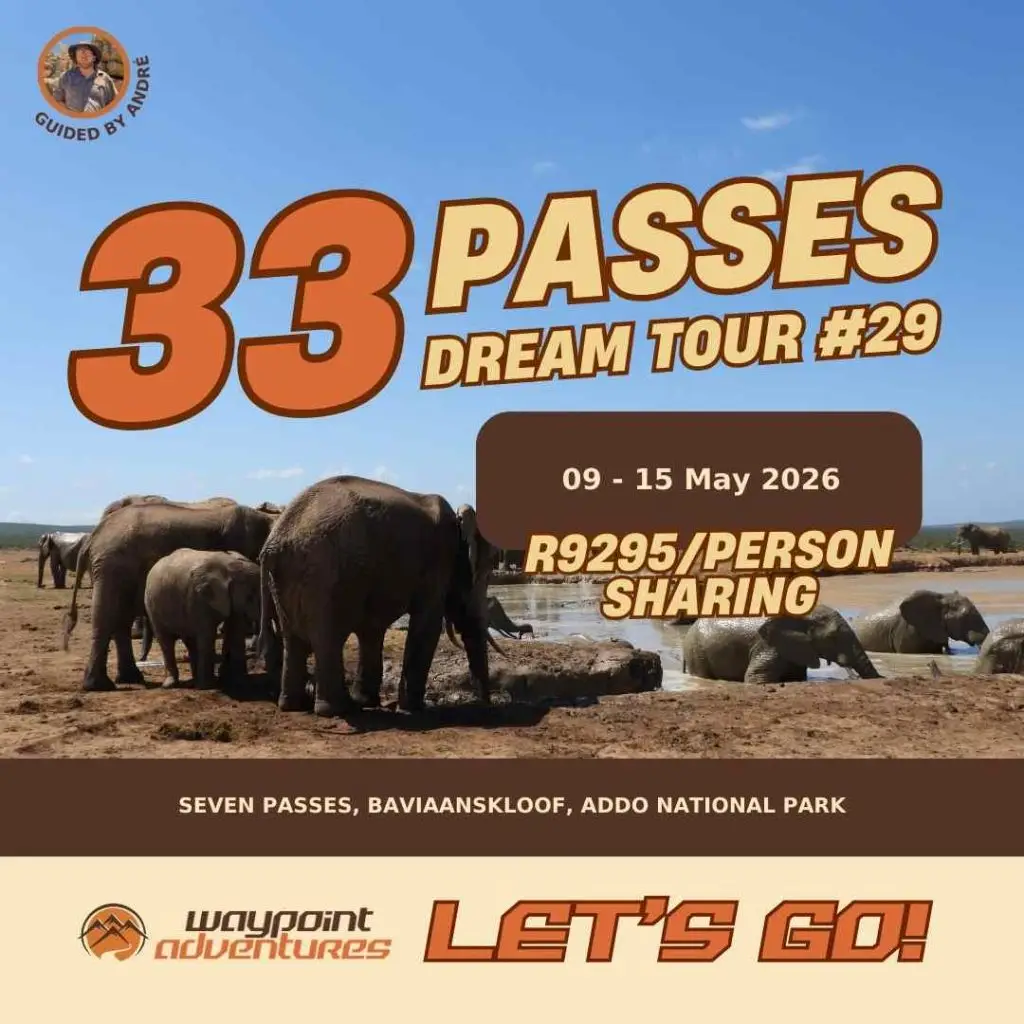 33P29 Available